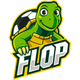 FLOP FC