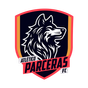 Atlético Parceras FC